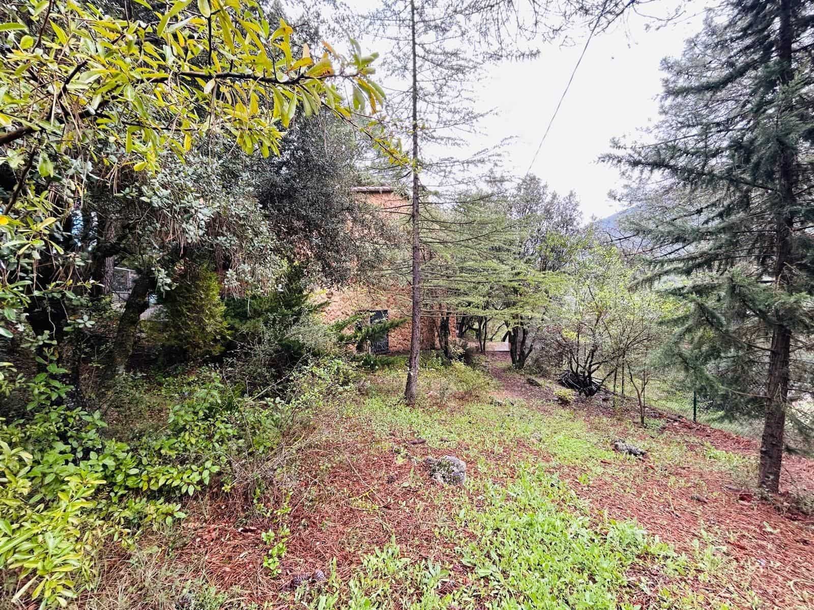 3 bedroom Finca/Country House for sale in Riopar - € 220,000 (Ref: 10112012)