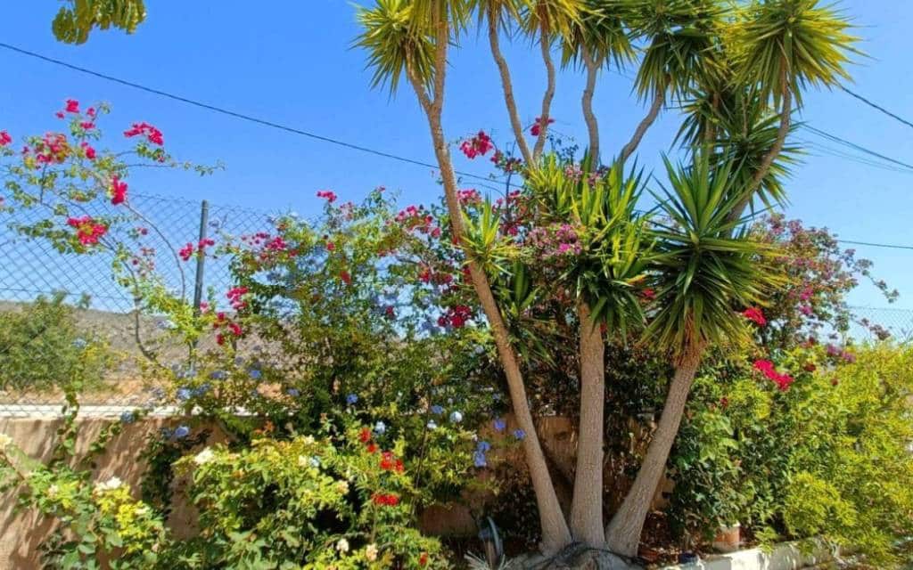 5 camera da letto Villa in vendita in Abanilla con piscina - 360.000 € (Rif: 10000898)