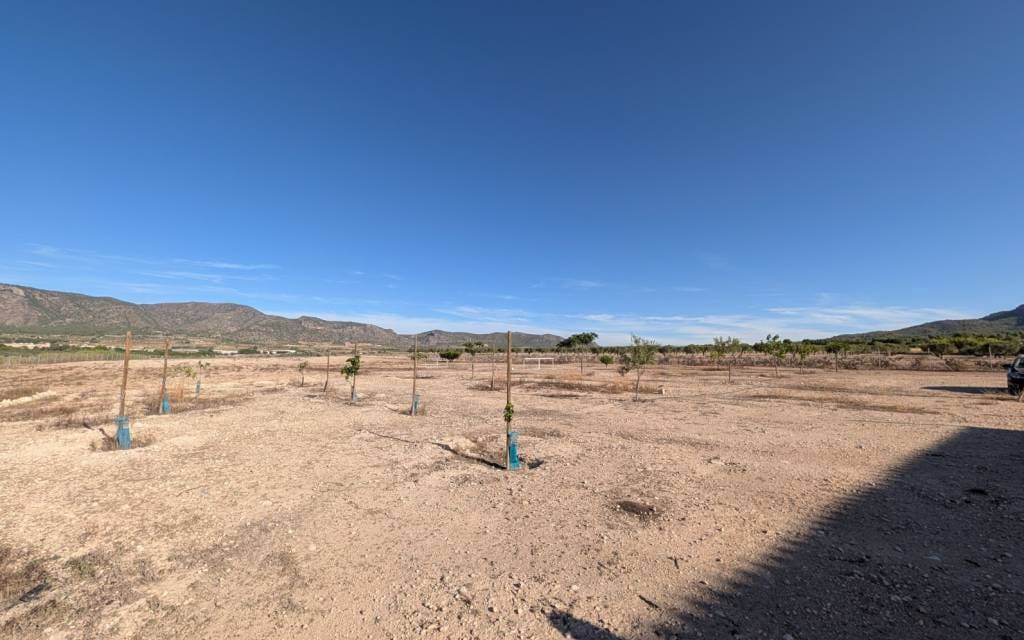 3 Zimmer Finca/Landgut zu verkaufen in Salinas - 375.000 € (Ref: 10060529)