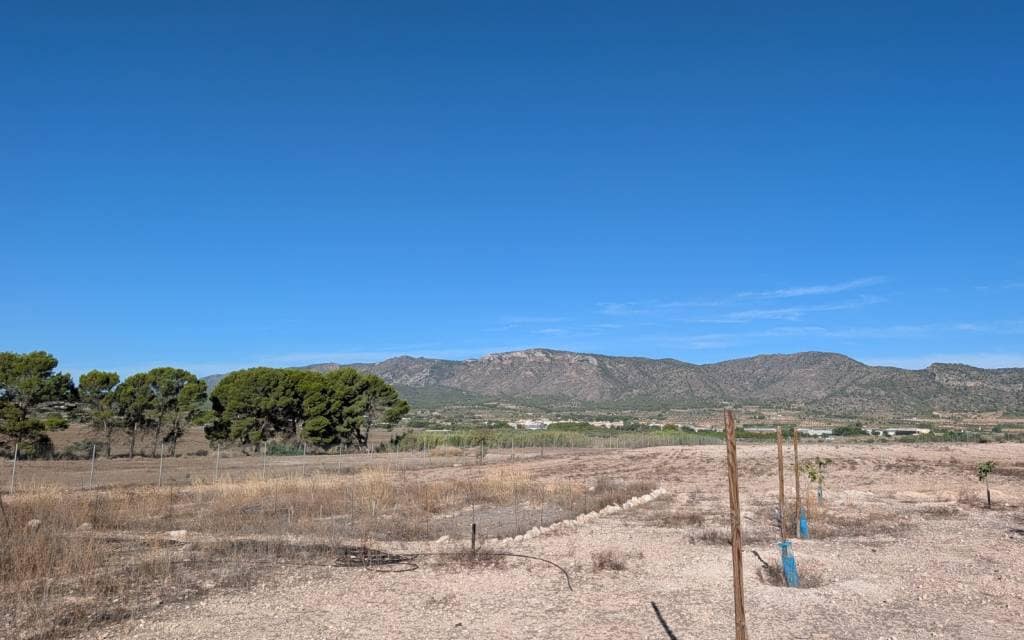 3 Zimmer Finca/Landgut zu verkaufen in Salinas - 375.000 € (Ref: 10060529)