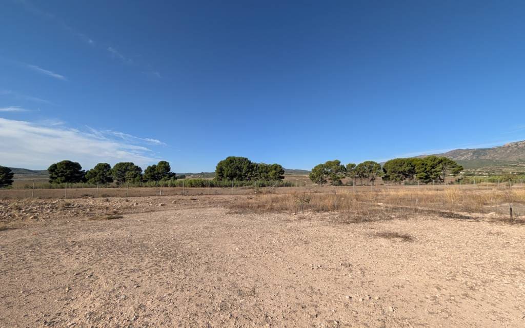 3 Zimmer Finca/Landgut zu verkaufen in Salinas - 375.000 € (Ref: 10060529)