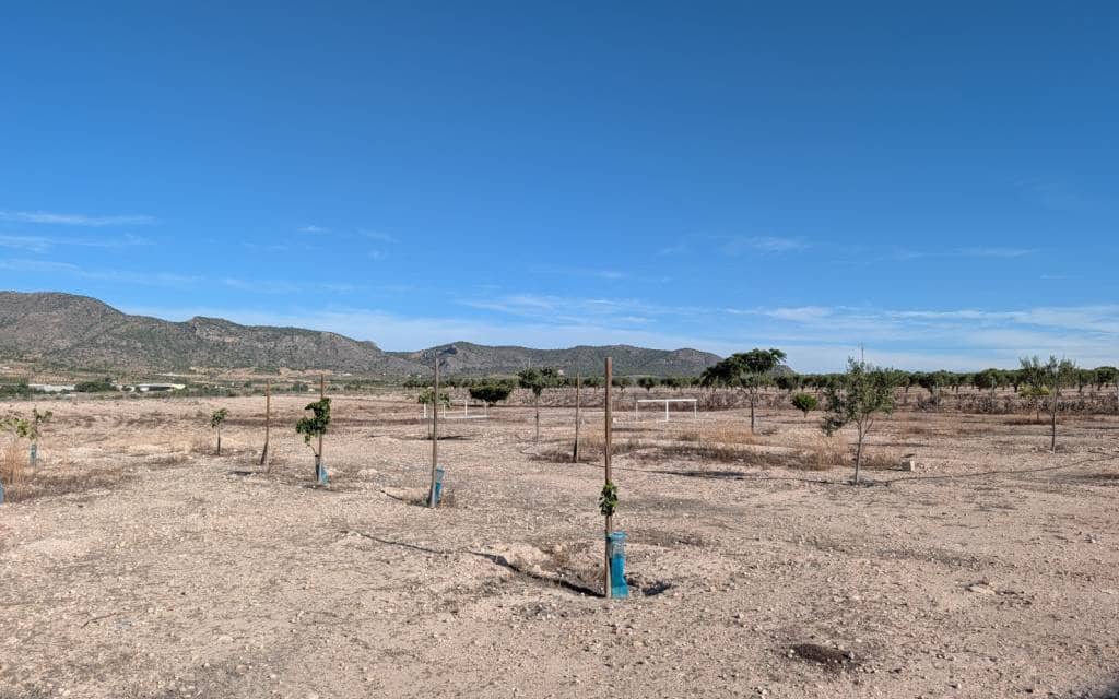 3 Zimmer Finca/Landgut zu verkaufen in Salinas - 375.000 € (Ref: 10060529)