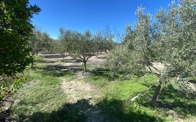4 quarto Quinta/Casa Rural para venda em Sax com piscina garagem - 239 995 € (Ref: 10155859)