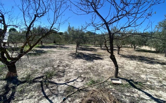 4 quarto Quinta/Casa Rural para venda em Sax com piscina garagem - 239 995 € (Ref: 10155859)