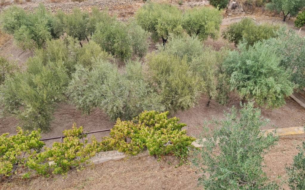 4 camera da letto Villa in vendita in Elda con piscina garage - 350.000 € (Rif: 10180903)
