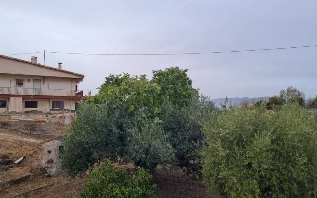 4 camera da letto Villa in vendita in Elda con piscina garage - 350.000 € (Rif: 10180903)