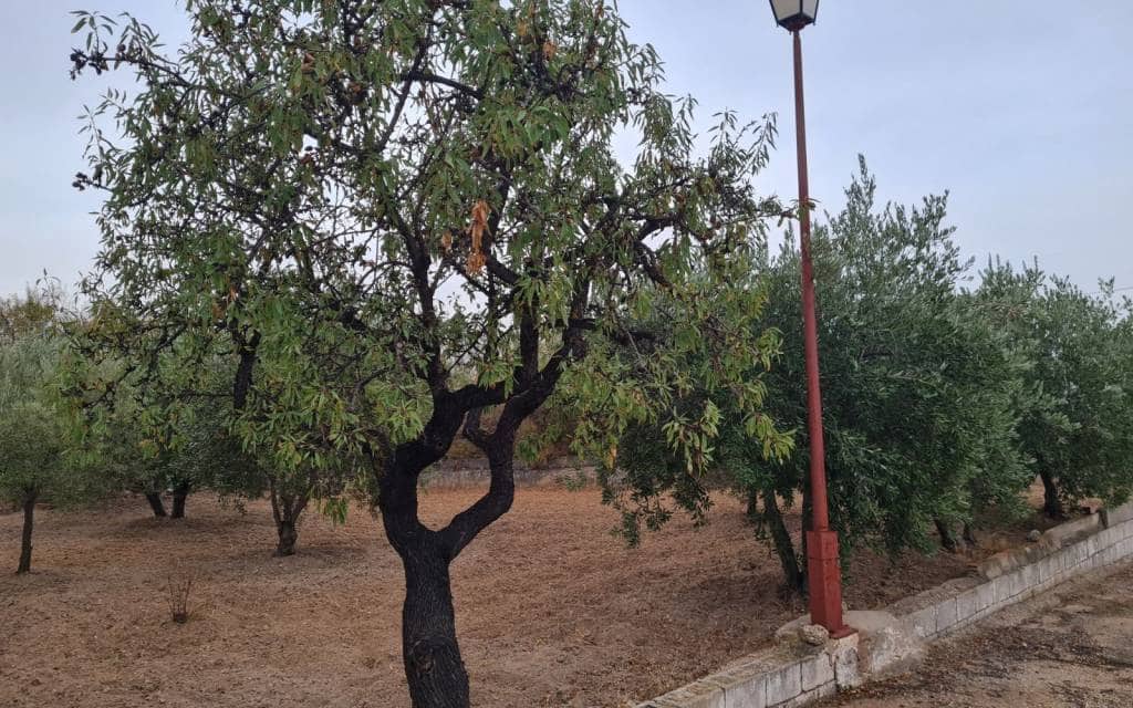 4 camera da letto Villa in vendita in Elda con piscina garage - 350.000 € (Rif: 10180903)