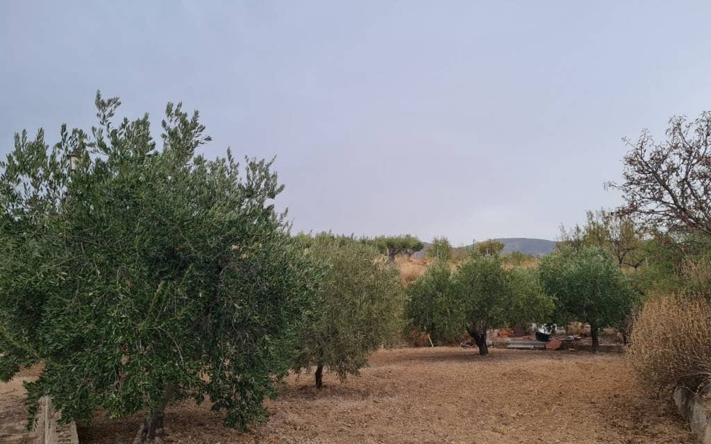 4 camera da letto Villa in vendita in Elda con piscina garage - 350.000 € (Rif: 10180903)