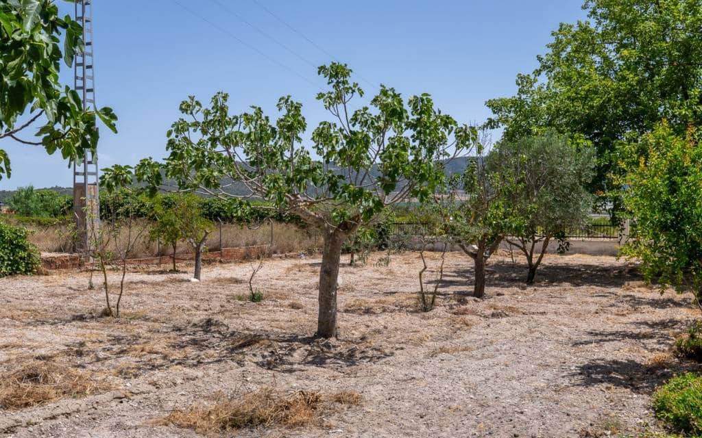 3 slaapkamer Finca/Landhuis te koop in Salinas met zwembad garage - € 299.000 (Ref: 10181633)
