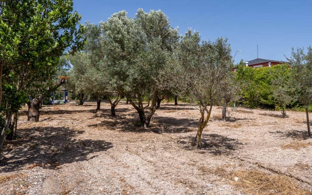 3 slaapkamer Finca/Landhuis te koop in Salinas met zwembad garage - € 299.000 (Ref: 10181633)