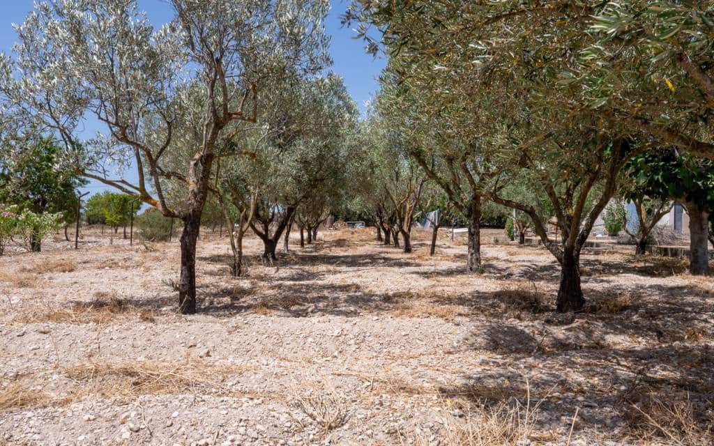 3 slaapkamer Finca/Landhuis te koop in Salinas met zwembad garage - € 299.000 (Ref: 10181633)