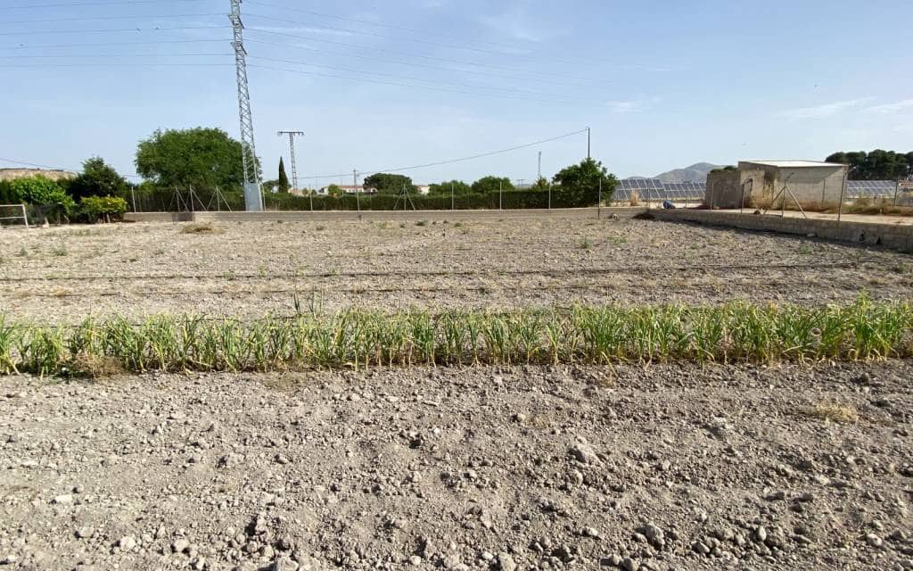 5 bedroom Villa for sale in Villena with pool garage - € 450,000 (Ref: 6919990)