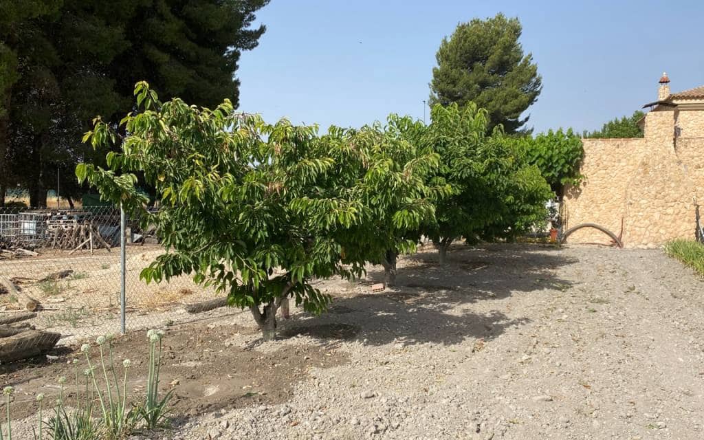 5 bedroom Villa for sale in Villena with pool garage - € 450,000 (Ref: 6919990)