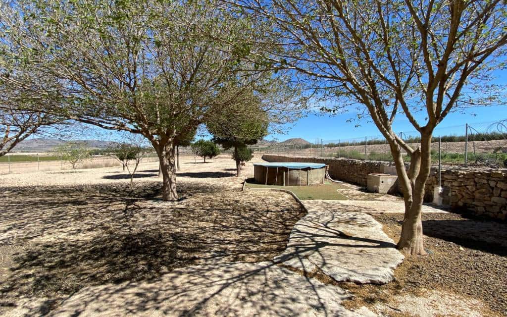 5 soveværelse Finca/Landehus til salg i Salinas - € 199.995 (Ref: 7529583)