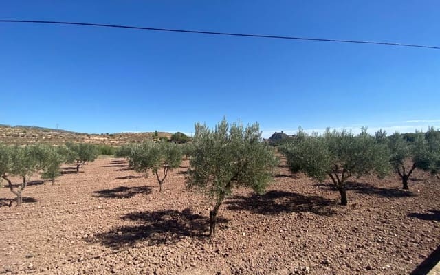 4 bedroom Finca/Country House for sale in Sax with pool - € 350,000 (Ref: 7565349)