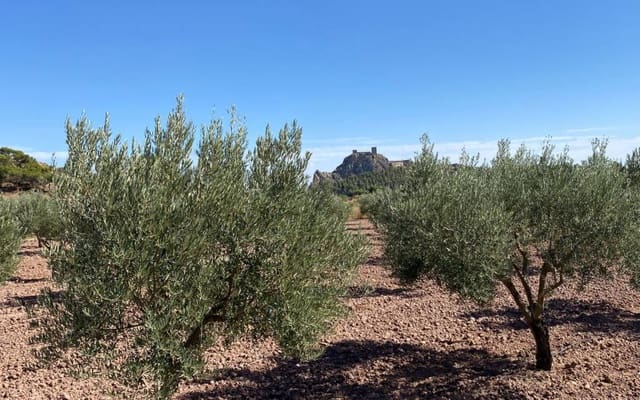 4 bedroom Finca/Country House for sale in Sax with pool - € 350,000 (Ref: 7565349)