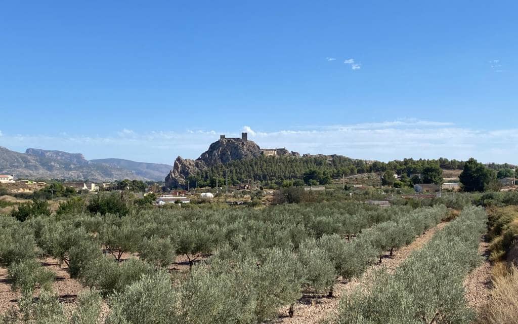 4 slaapkamer Finca/Landhuis te koop in Sax met zwembad - € 350.000 (Ref: 7565349)