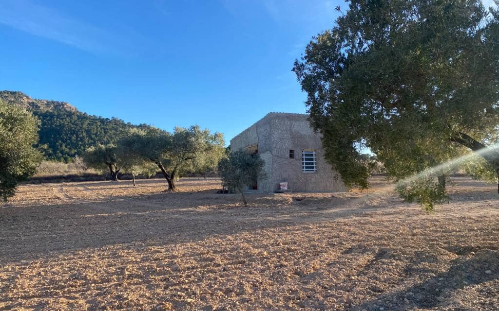 Finca/Landehus til salg i Elda - € 50.000 (Ref: 8157825)