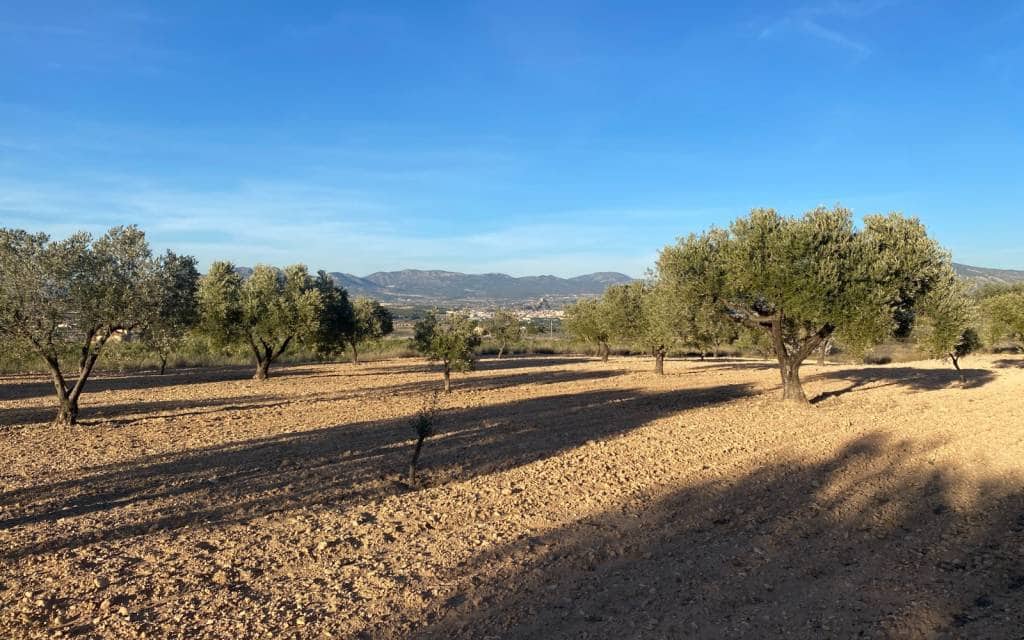 Finca/Landehus til salg i Elda - € 50.000 (Ref: 8157825)