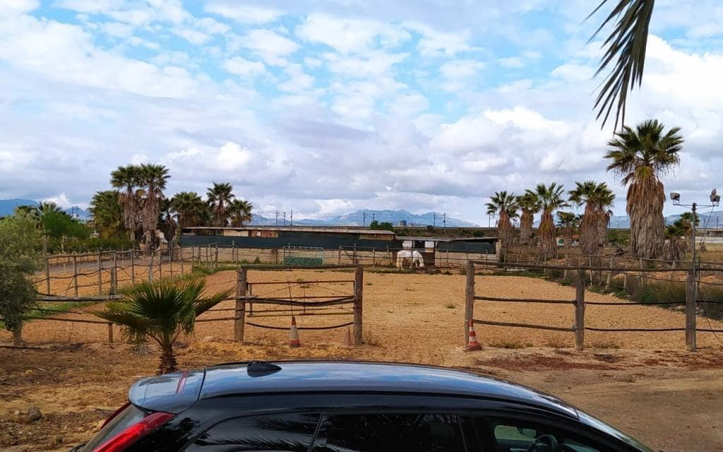 3 makuuhuone Huvila myytävänä paikassa Monforte del Cid mukana uima-altaan 
autotalli - 299 900 € (Ref: 8306059)