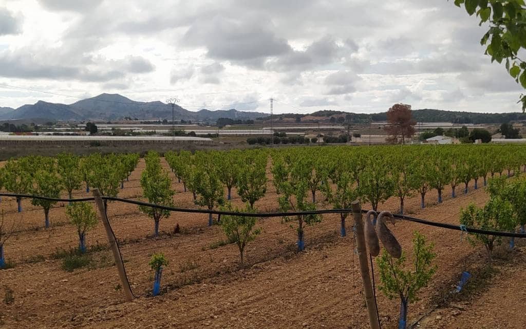 3 makuuhuone Huvila myytävänä paikassa Monforte del Cid mukana uima-altaan 
autotalli - 299 900 € (Ref: 8306059)