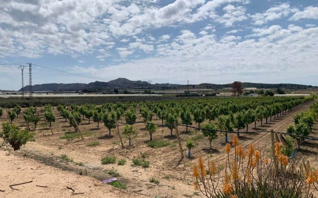 3 makuuhuone Huvila myytävänä paikassa Monforte del Cid mukana uima-altaan 
autotalli - 299 900 € (Ref: 8306059)