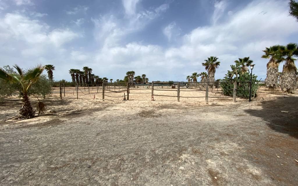 3 makuuhuone Huvila myytävänä paikassa Monforte del Cid mukana uima-altaan 
autotalli - 299 900 € (Ref: 8306059)