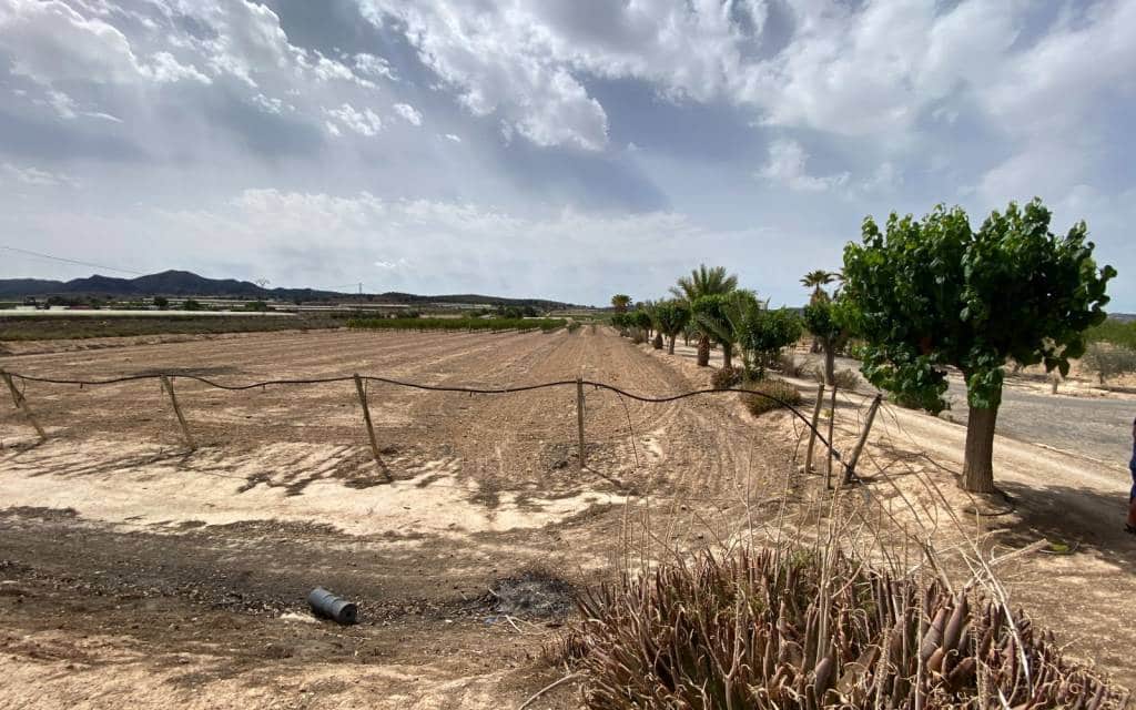 3 makuuhuone Huvila myytävänä paikassa Monforte del Cid mukana uima-altaan 
autotalli - 299 900 € (Ref: 8306059)