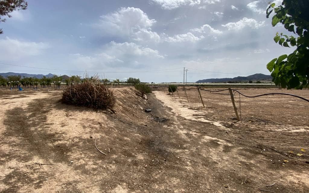 3 makuuhuone Huvila myytävänä paikassa Monforte del Cid mukana uima-altaan 
autotalli - 299 900 € (Ref: 8306059)