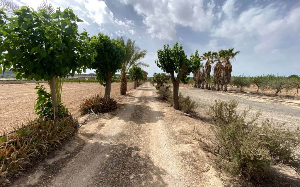 3 makuuhuone Huvila myytävänä paikassa Monforte del Cid mukana uima-altaan 
autotalli - 299 900 € (Ref: 8306059)