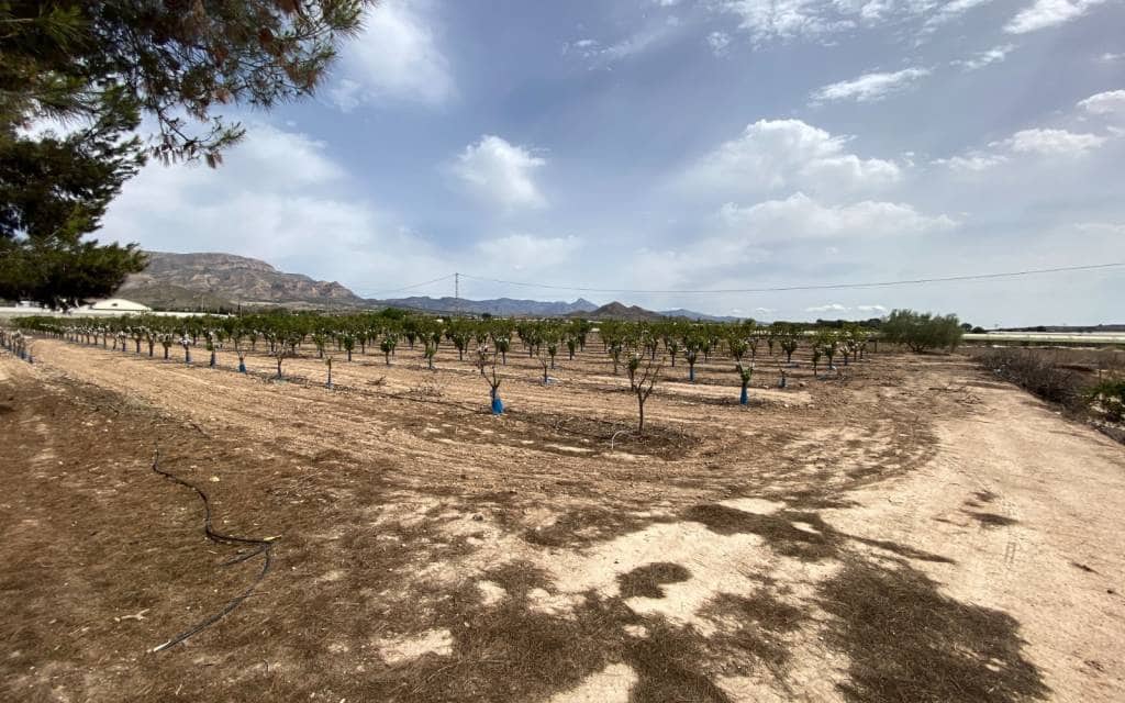 3 makuuhuone Huvila myytävänä paikassa Monforte del Cid mukana uima-altaan 
autotalli - 299 900 € (Ref: 8306059)