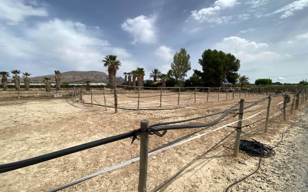 3 makuuhuone Huvila myytävänä paikassa Monforte del Cid mukana uima-altaan 
autotalli - 299 900 € (Ref: 8306059)