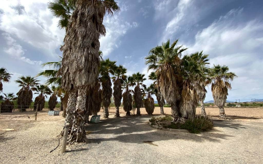 3 makuuhuone Huvila myytävänä paikassa Monforte del Cid mukana uima-altaan 
autotalli - 299 900 € (Ref: 8306059)