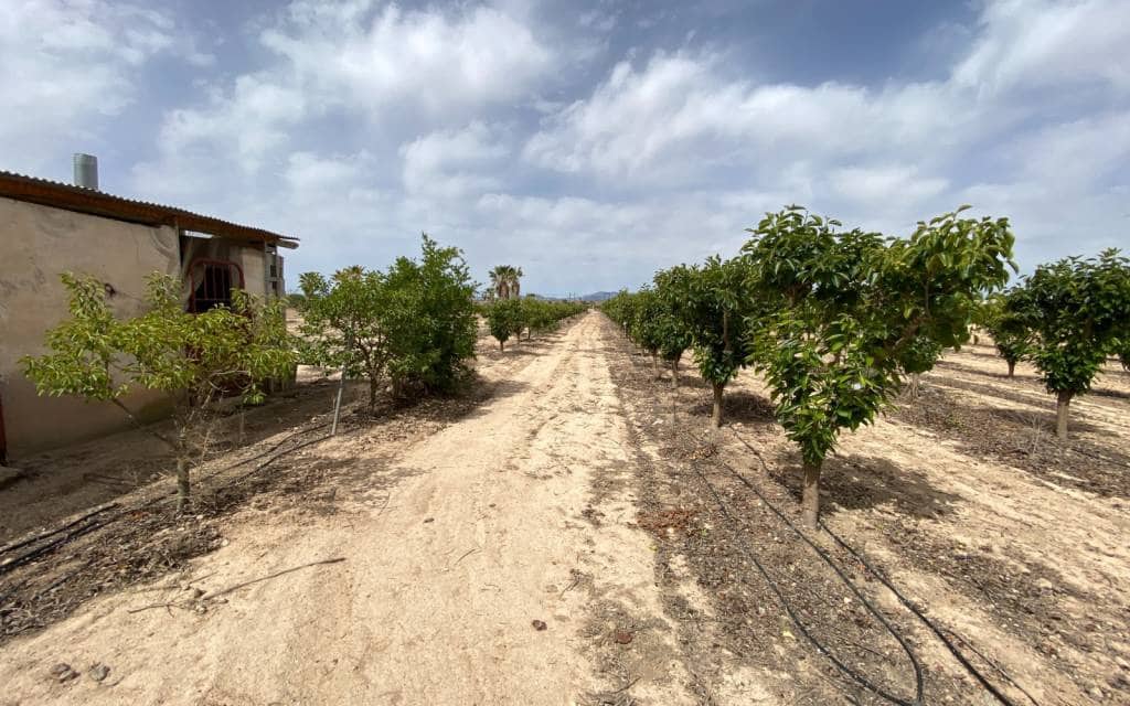 3 makuuhuone Huvila myytävänä paikassa Monforte del Cid mukana uima-altaan 
autotalli - 299 900 € (Ref: 8306059)