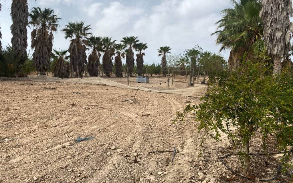 3 makuuhuone Huvila myytävänä paikassa Monforte del Cid mukana uima-altaan 
autotalli - 299 900 € (Ref: 8306059)