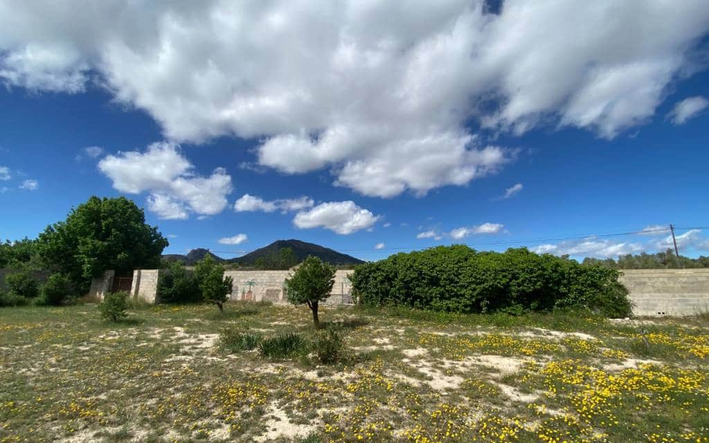 6 soveværelse Finca/Landehus til salg i Sax med swimmingpool - € 275.000 (Ref: 8967669)