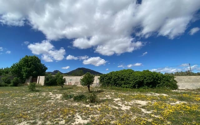 6 bedroom Finca/Country House for sale in Sax with pool - € 275,000 (Ref: 8967669)