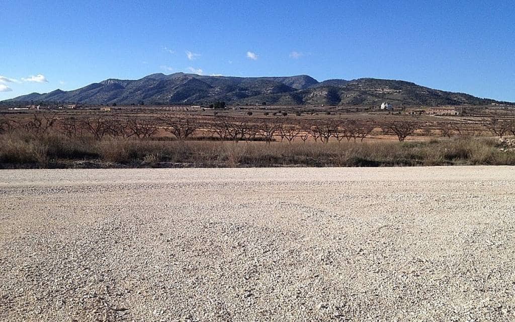 3 soverom Finca/Herregård til salgs i Pinoso med svømmebasseng garasje - € 349 995 (Ref: 9101059)