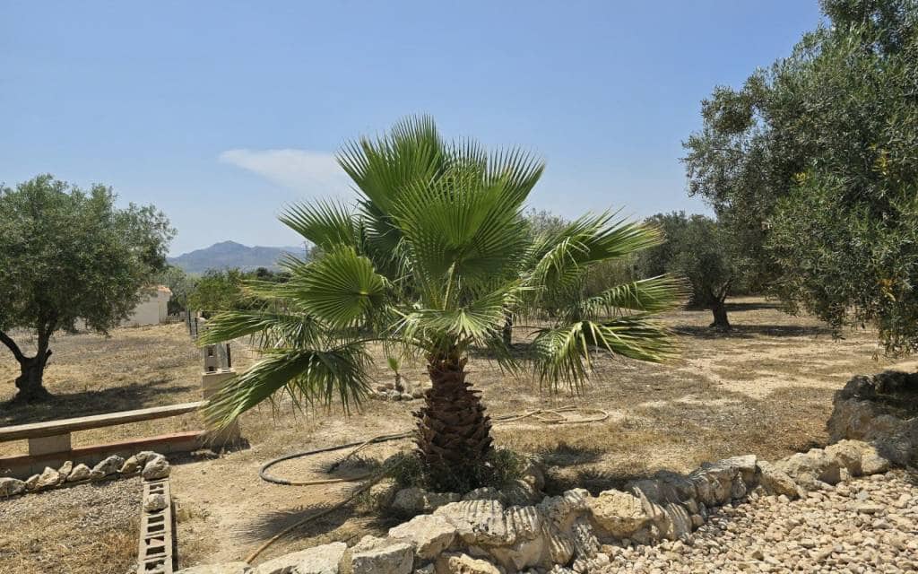 4 sypialnia Finka/Dom wiejski na sprzedaż w Sax - 229 995 € (Ref: 9101358)