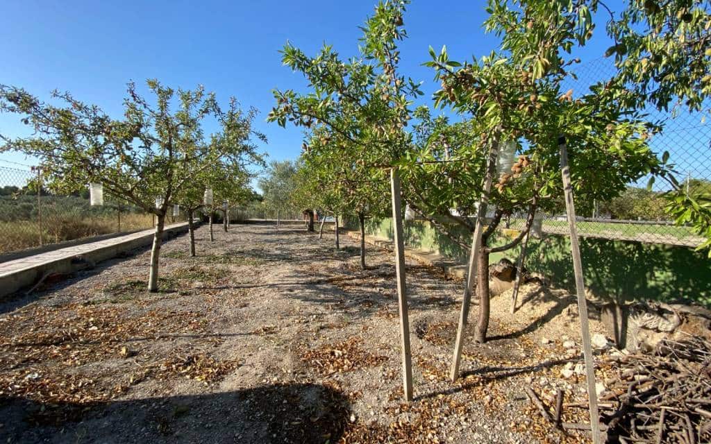 5 bedroom Villa for sale in Sax with pool garage - € 299,995 (Ref: 9150632)