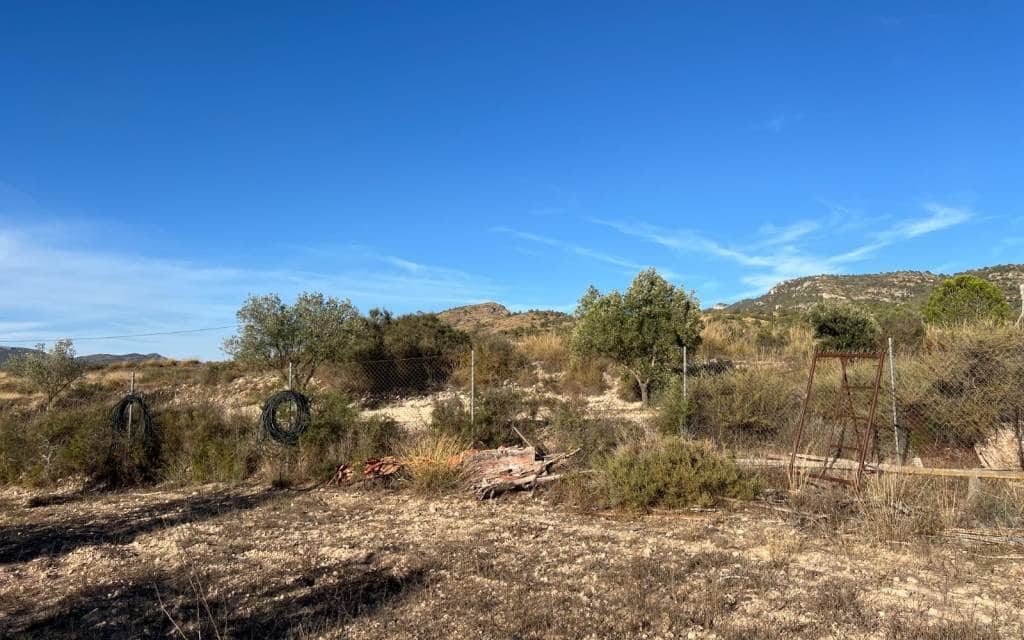 1 slaapkamer Finca/Landhuis te koop in Sax - € 99.995 (Ref: 9227190)