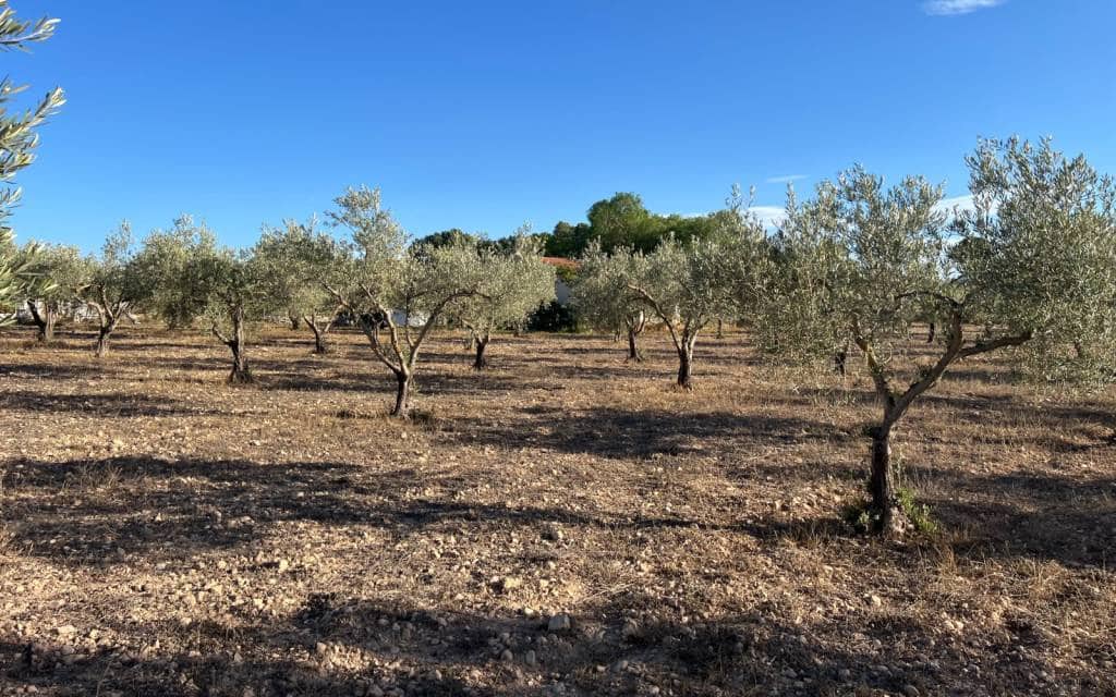 1 slaapkamer Finca/Landhuis te koop in Sax - € 99.995 (Ref: 9227190)