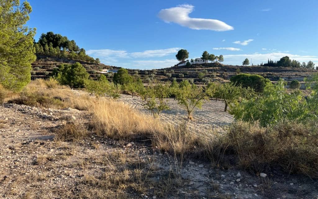 1 slaapkamer Finca/Landhuis te koop in Sax - € 99.995 (Ref: 9227190)