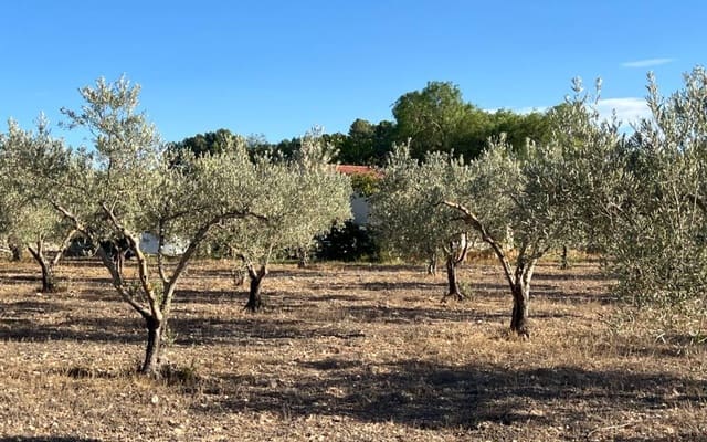 1 slaapkamer Finca/Landhuis te koop in Sax - € 99.995 (Ref: 9227190)