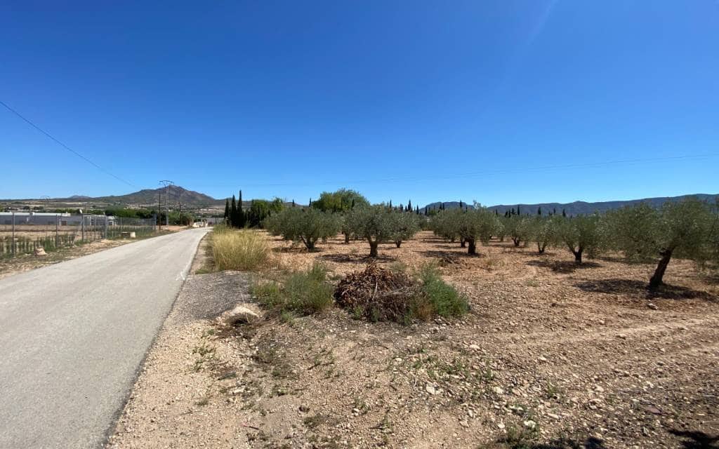 3 makuuhuone Maalaistalo myytävänä paikassa Salinas mukana uima-altaan 
autotalli - 249 999 € (Ref: 9227739)