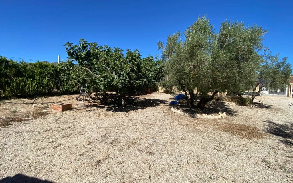 3 makuuhuone Maalaistalo myytävänä paikassa Salinas mukana uima-altaan 
autotalli - 249 999 € (Ref: 9227739)