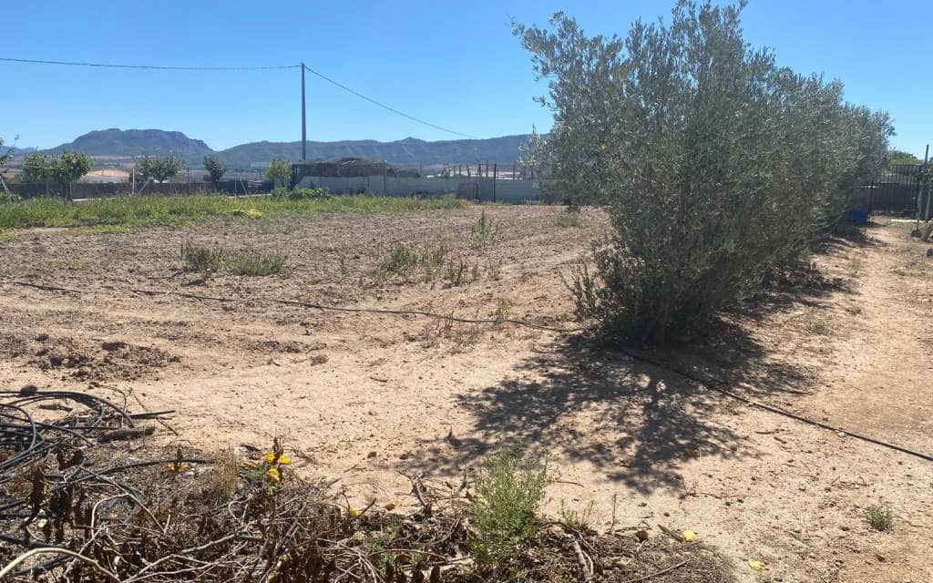 3 makuuhuone Maalaistalo myytävänä paikassa Salinas mukana uima-altaan 
autotalli - 249 999 € (Ref: 9227739)