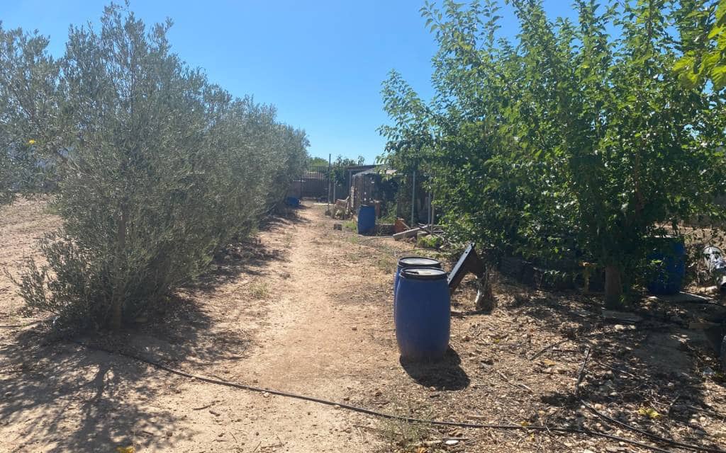 3 makuuhuone Maalaistalo myytävänä paikassa Salinas mukana uima-altaan 
autotalli - 249 999 € (Ref: 9227739)