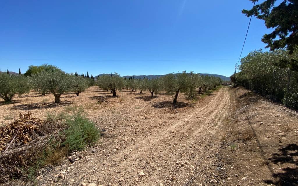 3 makuuhuone Maalaistalo myytävänä paikassa Salinas mukana uima-altaan 
autotalli - 249 999 € (Ref: 9227739)