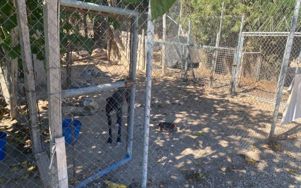 3 makuuhuone Maalaistalo myytävänä paikassa Salinas mukana uima-altaan 
autotalli - 249 999 € (Ref: 9227739)